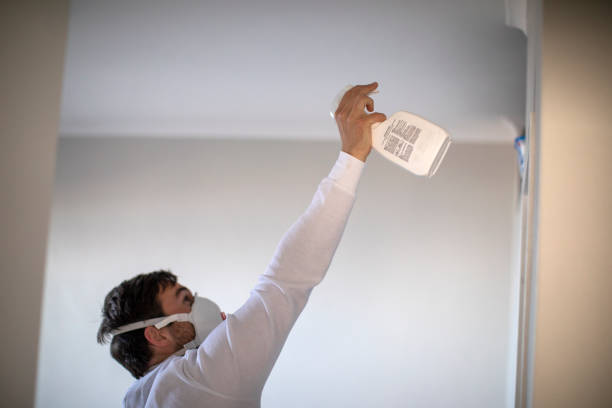 Best Affordable Mold Removal  in Greenwood, IN