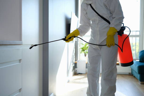 Best Attic Mold Removal  in Greenwood, IN